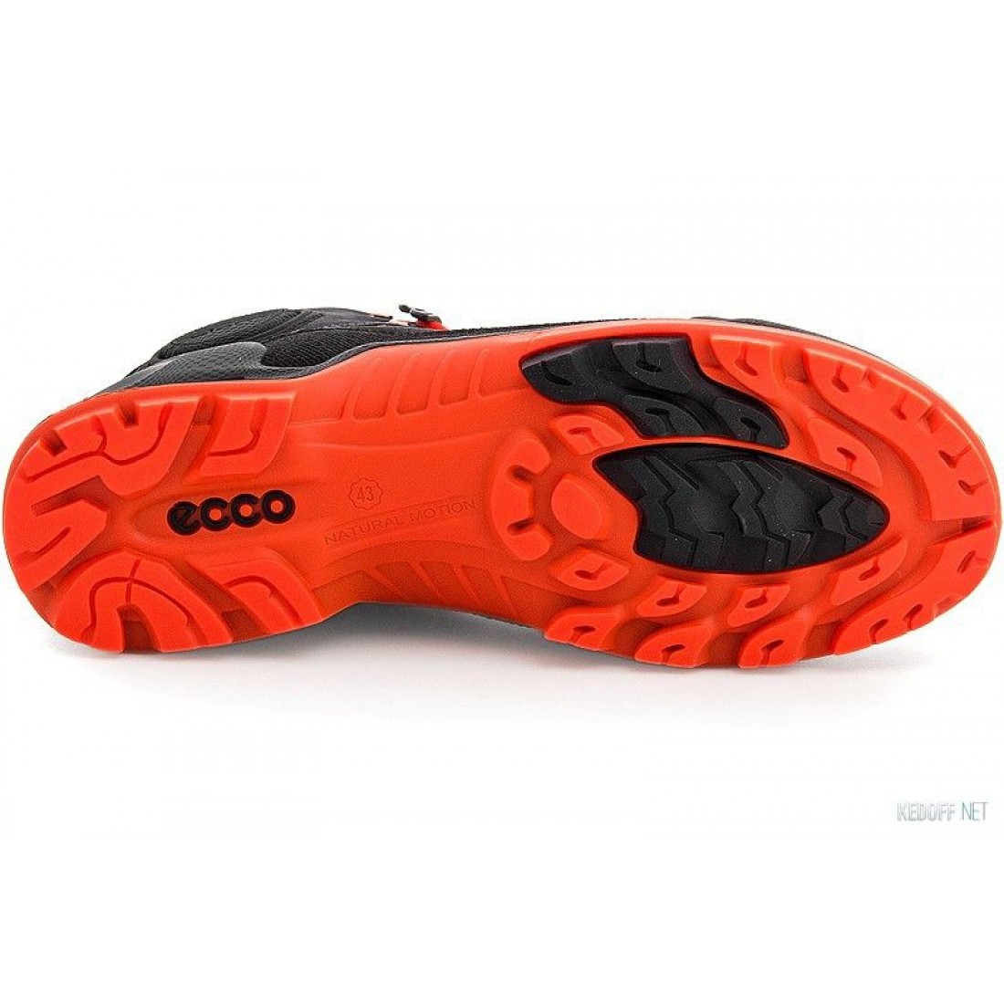 ecco biom terrain akka gtx