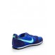 Кроссовки WMNS NIKE GENICCO Nike модель MP002XW0FHJL